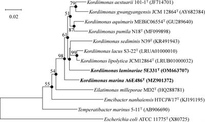 Characterization of Kordiimonas marina sp. nov. and Kordiimonas laminariae sp. nov. and Comparative Genomic Analysis of the Genus Kordiimonas, A Marine-Adapted Taxon